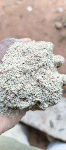 SON DE RIZ