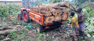 Transport de Produits Exploitant-forestiers