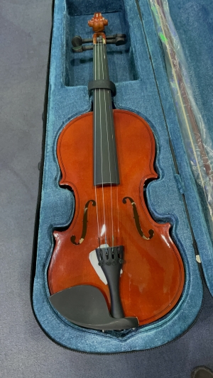 VIOLON