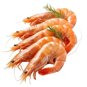 Crevette