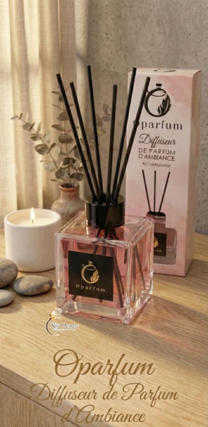 Diffusseur_ambiance