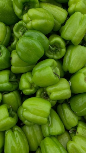 Piment vert