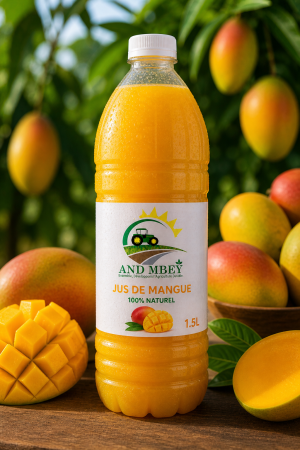 Jus de Mangue