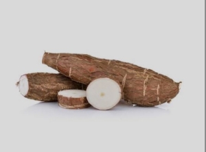 Manioc