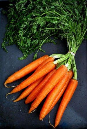 Carottes 1