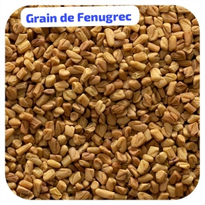 Grain de fenugrec