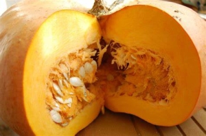 Citrouille