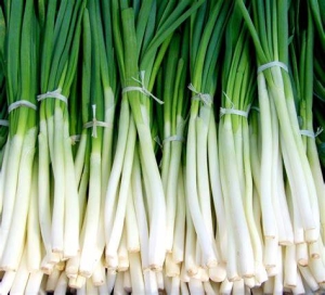 Oignons vert