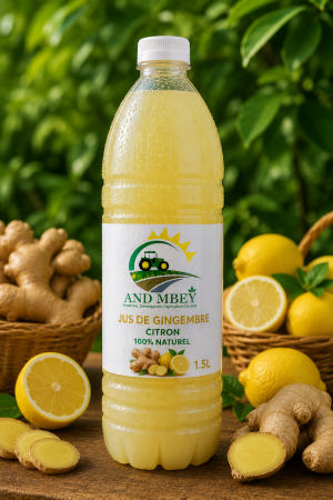 Jus Gingembre Citron