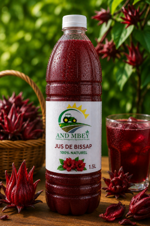 Jus Bissap rouge