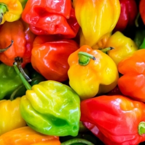 Piment Rouge Jaune