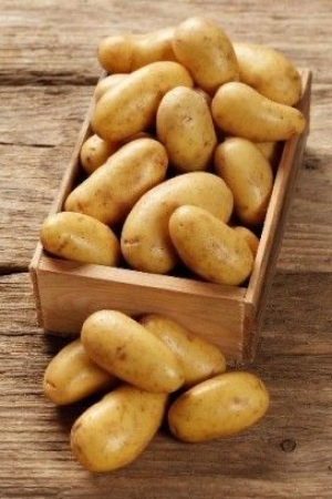 Pomme de terre